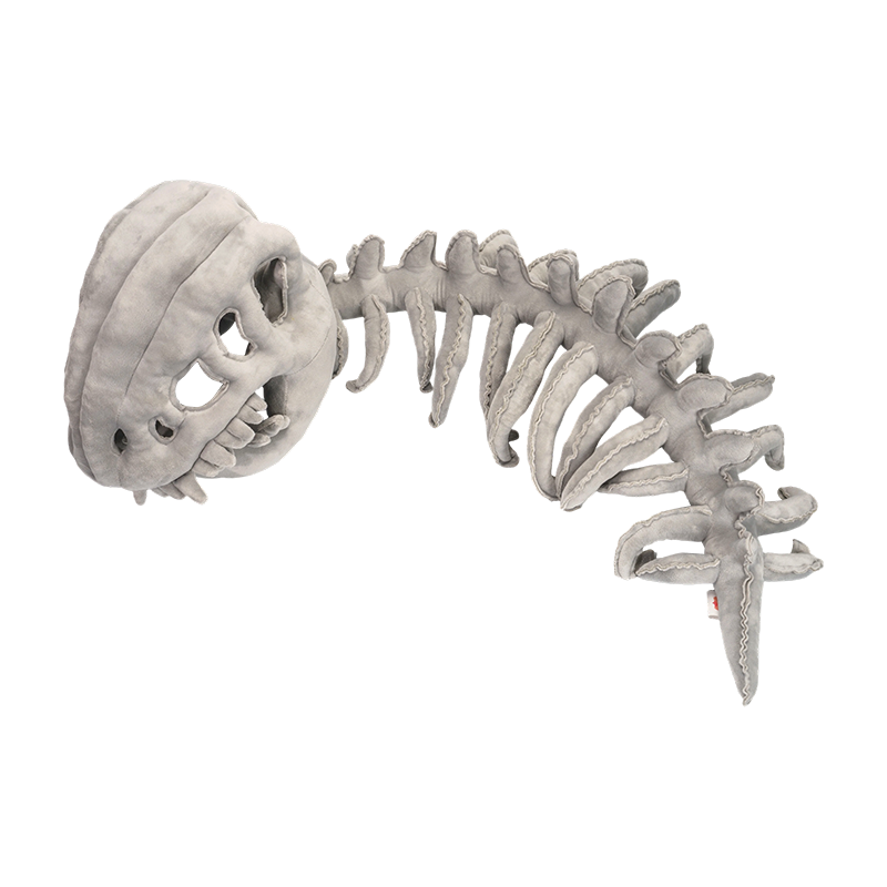 کلاه مخمل خواب دار اسکلت دایناسور به اندازه بزرگسالان خاکستری کلاه مخمل خواب دار اسکلت دایناسور به اندازه بزرگسالان خاکستری